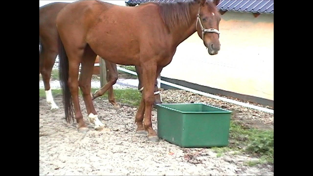 Alternative view of OK Plast Weidebak