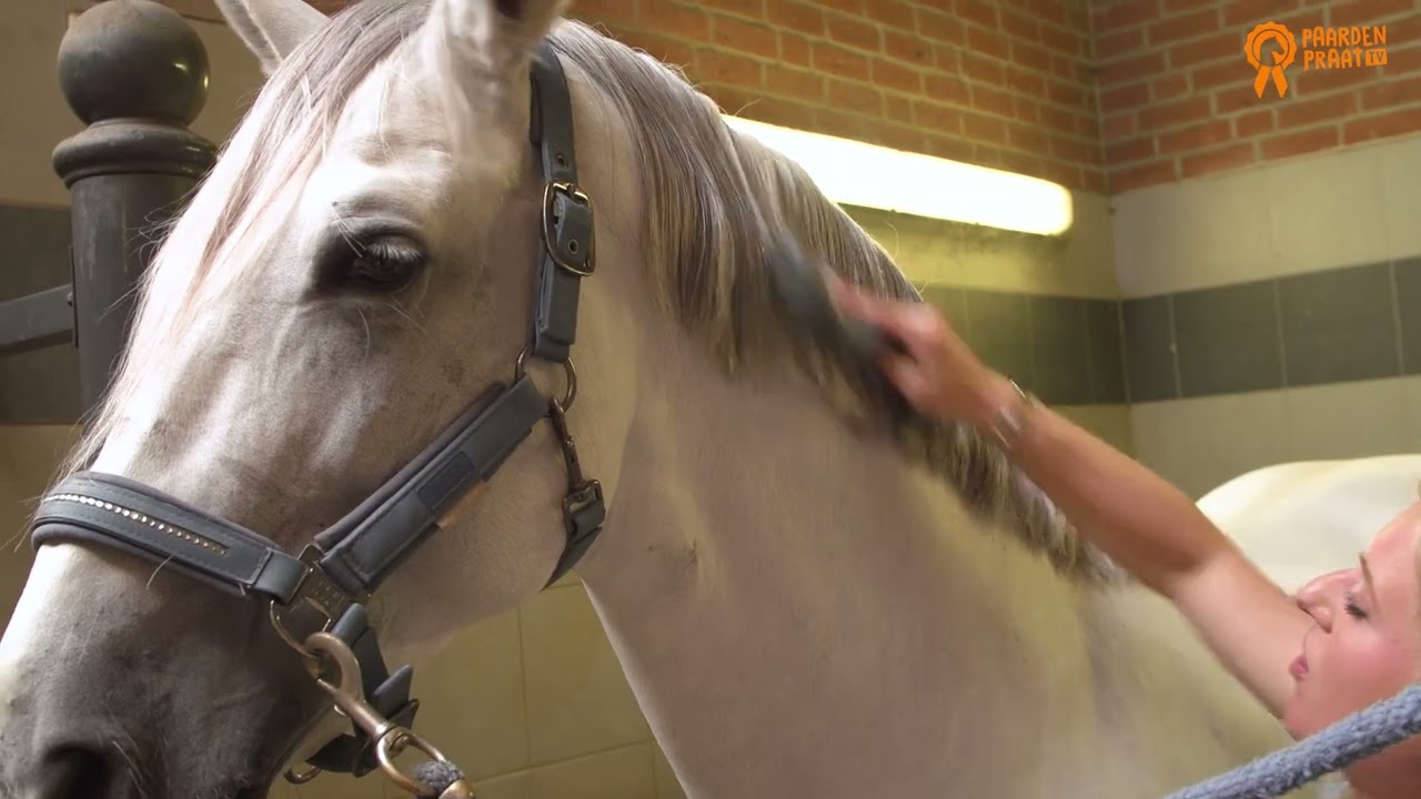 Alternative view of Paardenpraat TV Glans Spray