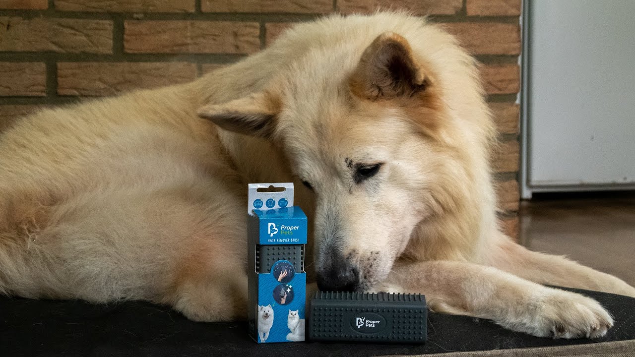 Alternative view of Proper Pets Haarverwijderaar
