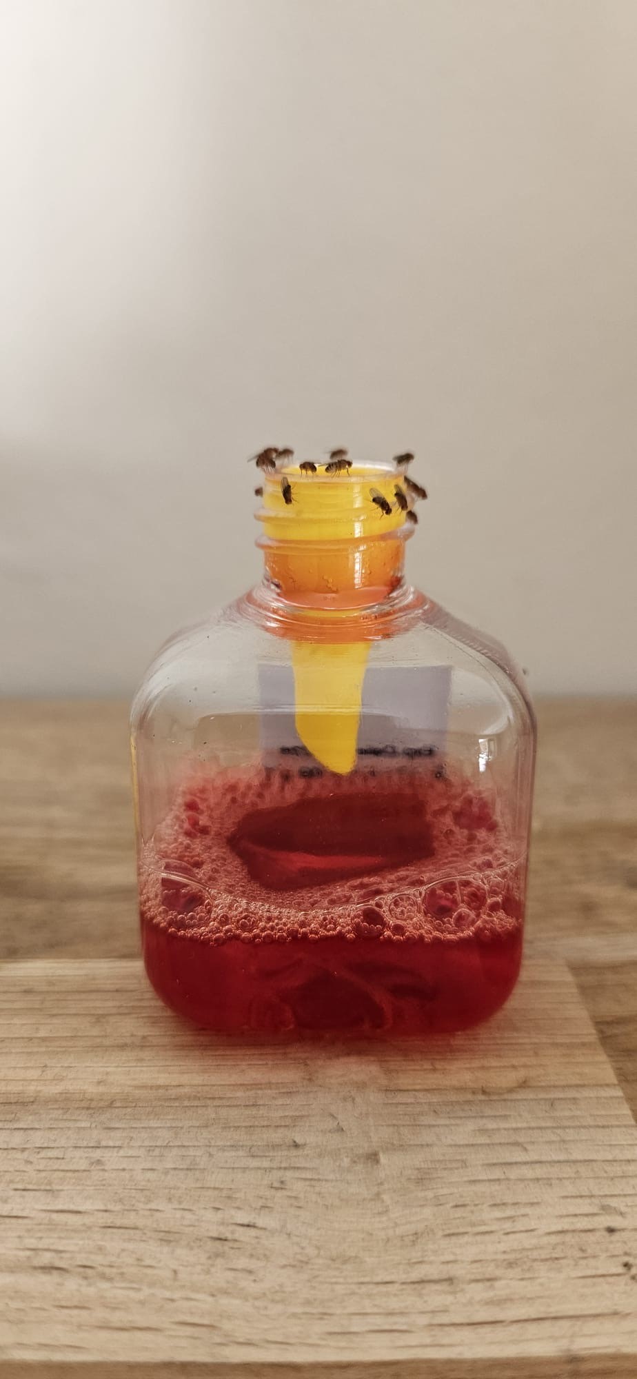 Alternative view of Knock Pest Fruitvliegval 1 Val