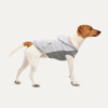 Goo-eez Kangaroo Fleece Hoodie L Grijs