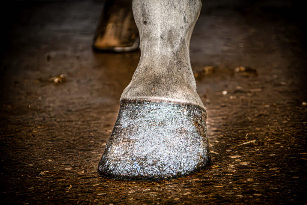Alternative view of Excellent Horse Hi Gloss Glitter Hoof Polish Silver