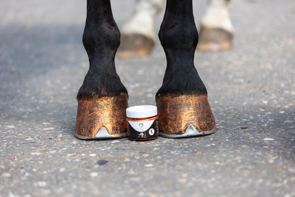 Alternative view of Excellent Horse Hi Gloss Glitter Hoof Polish Orange