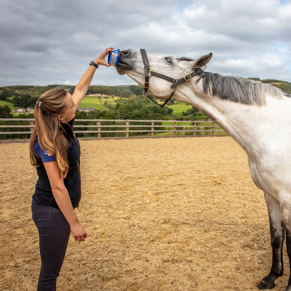 Alternative view of Horslyx Mini Original