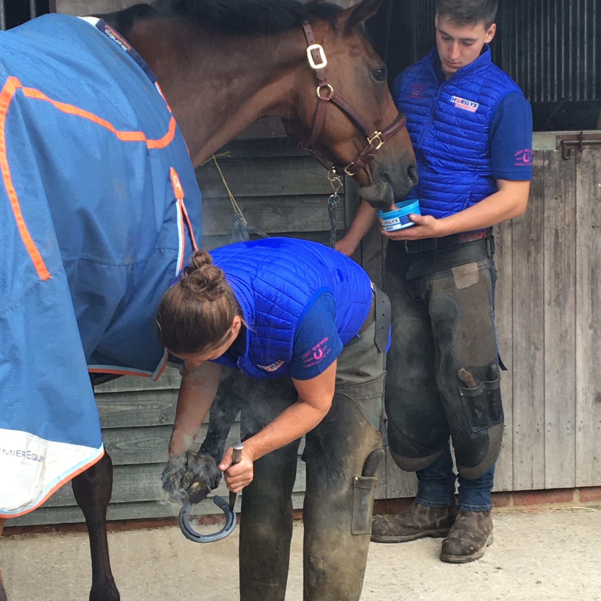 Alternative view of Horslyx Mini Mobiliteit