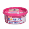 Horslyx Mini Spijsvertering