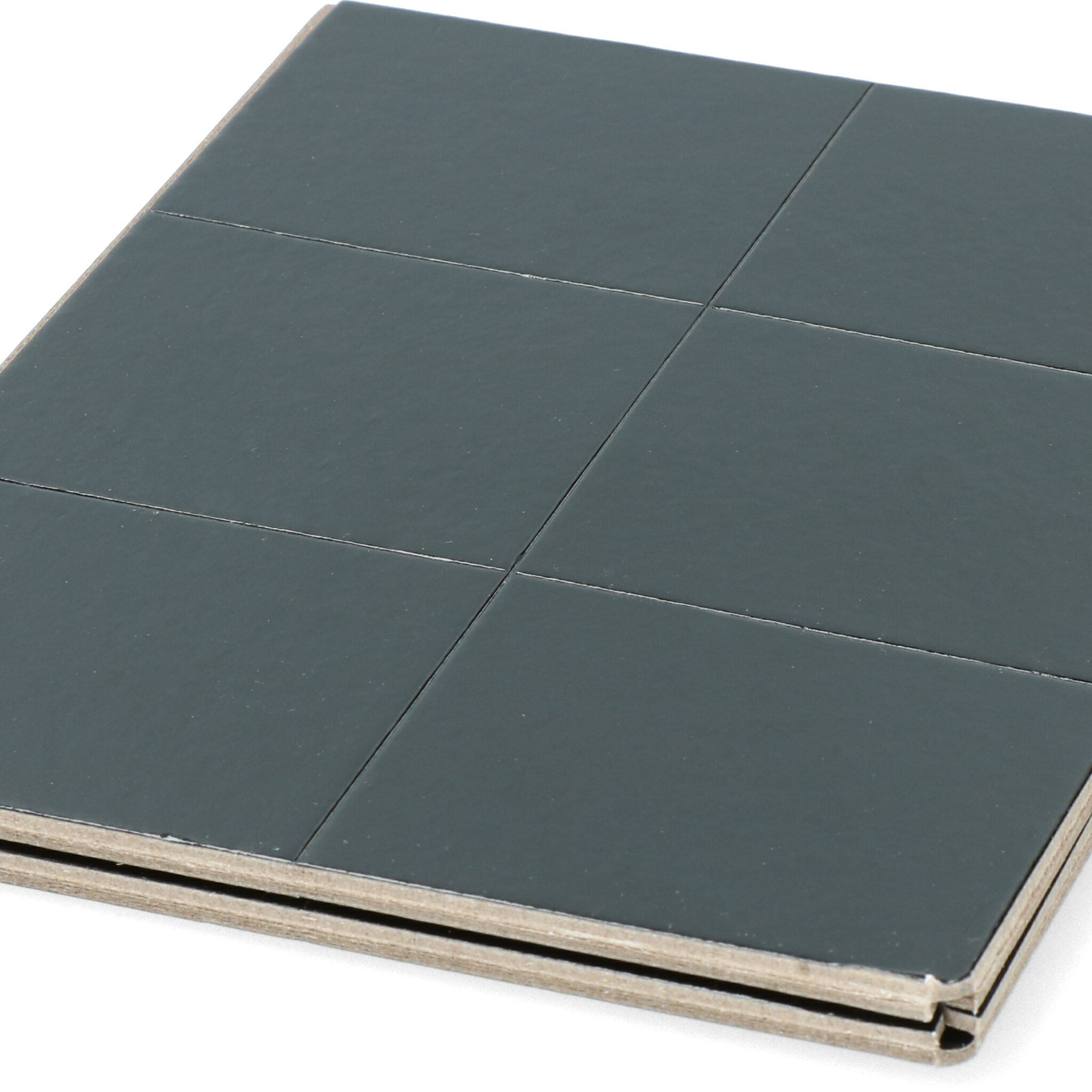 Insecten Lijmplaat Zwart