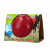Jolly Soccer Ball Rood S (15 cm)