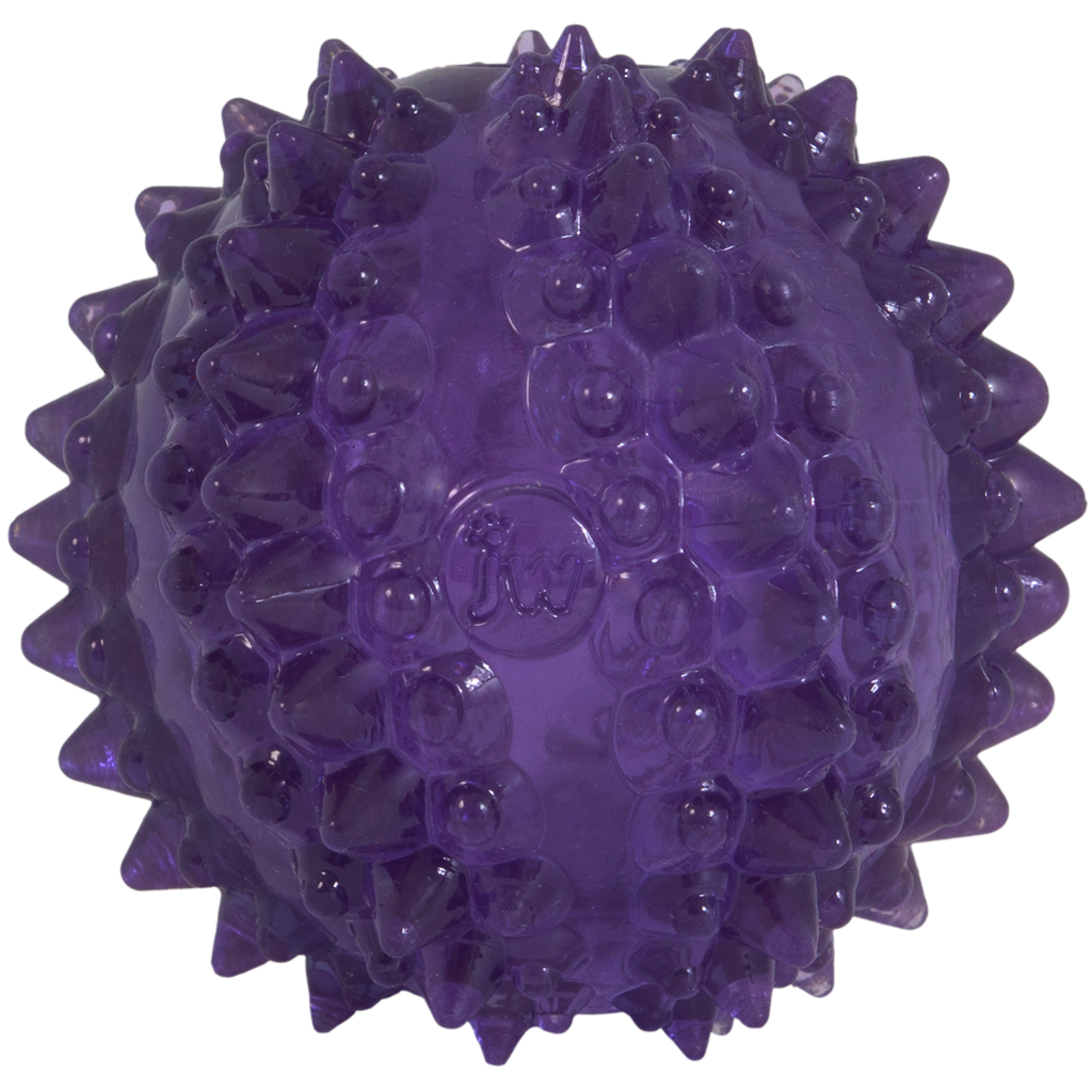 Alternative view of JW Puppy - Bristl-ee Cactus Ball