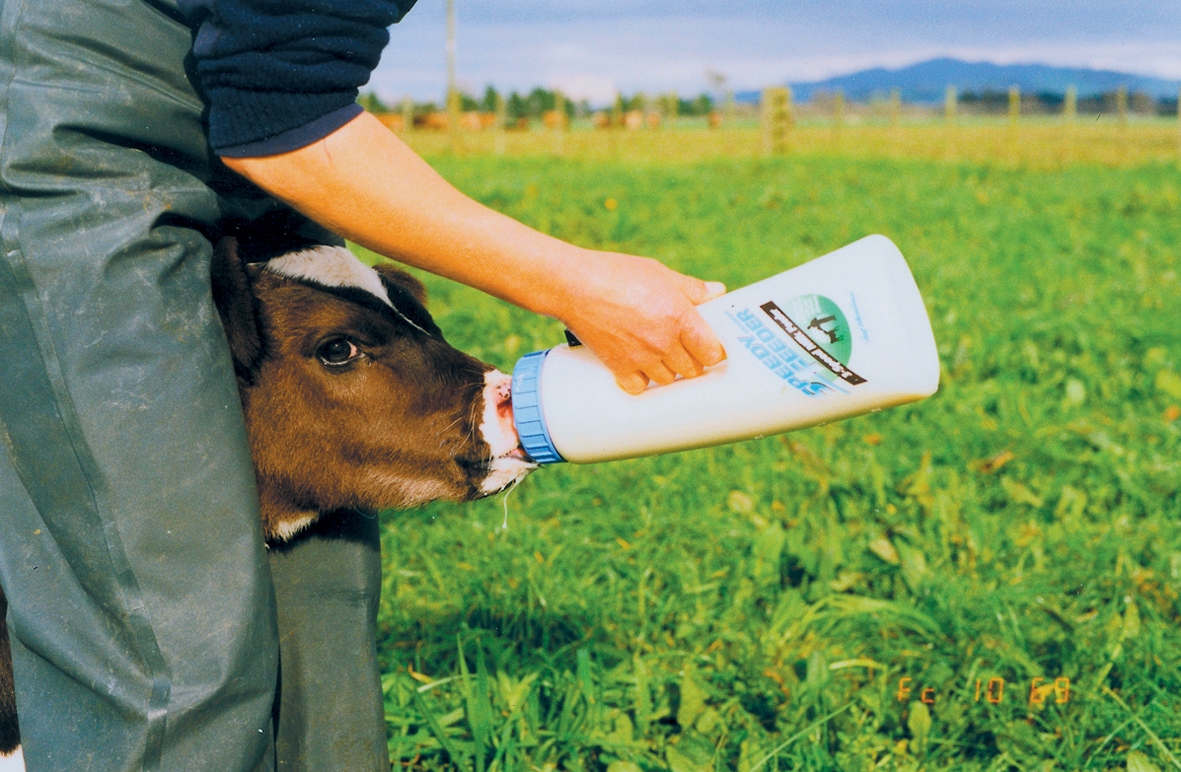 Alternative view of Calf Feeder Speedy Feeder 2,5 l