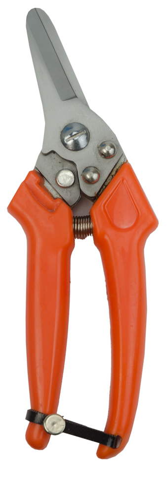 Alternative view of Claw Clipper Sheep Dutch