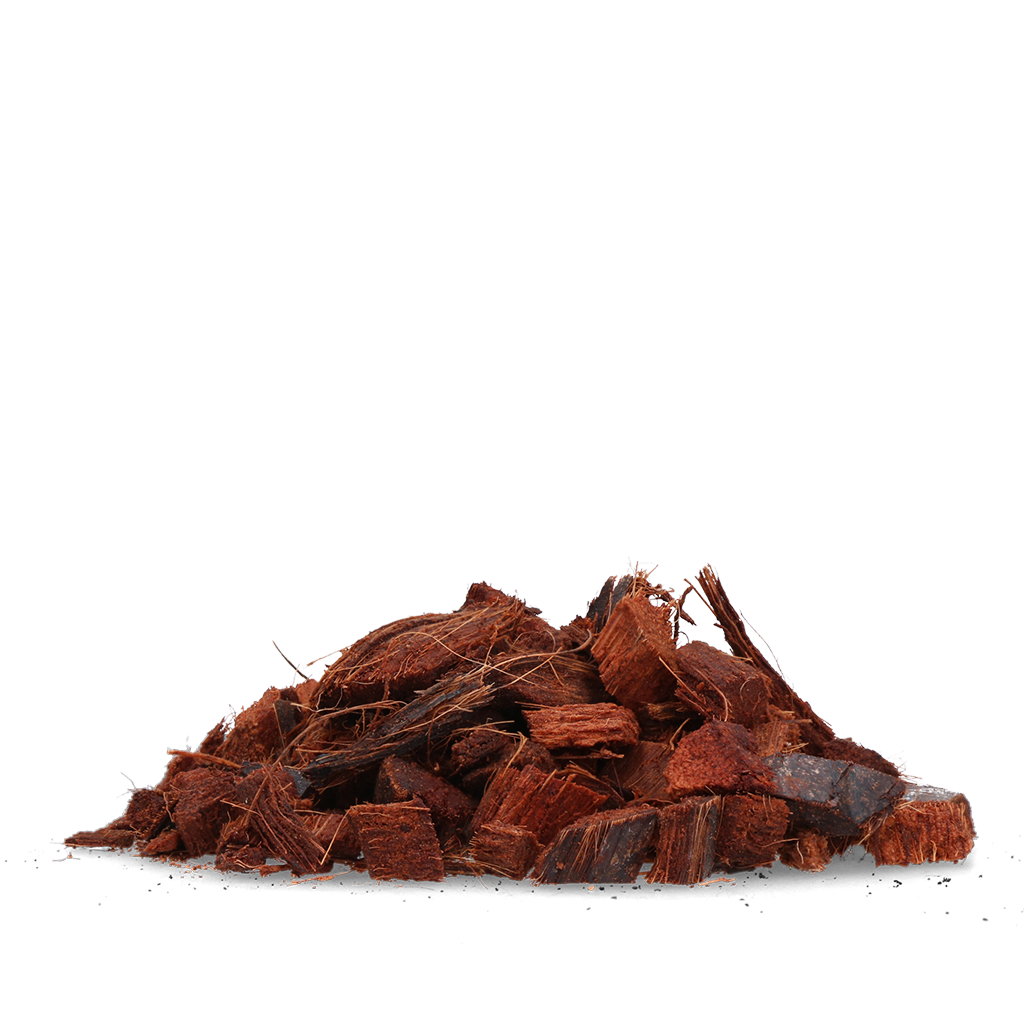 Alternative view of Knock Pest Stay Away Kat Tuin