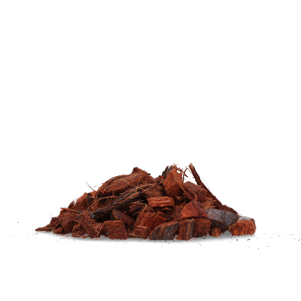 Alternative view of Knock Pest Stay Away Kat Tuin