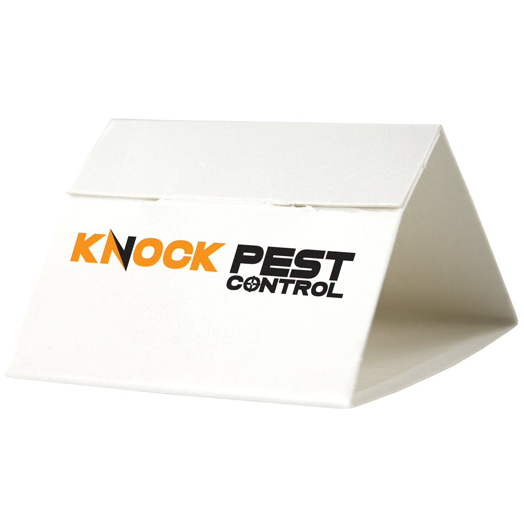 Alternative view of Knock Pest Zilvervisjesval Delta