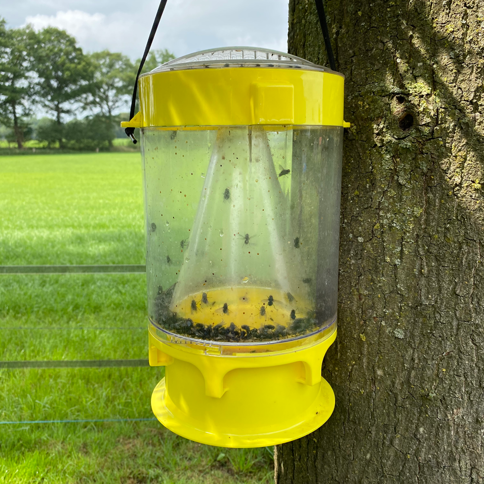 Alternative view of Knock Pest Vliegenval XL