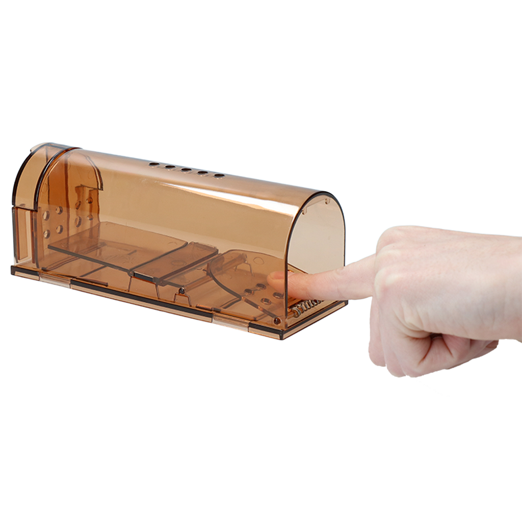 Alternative view of Knock Pest Muizenval Levend