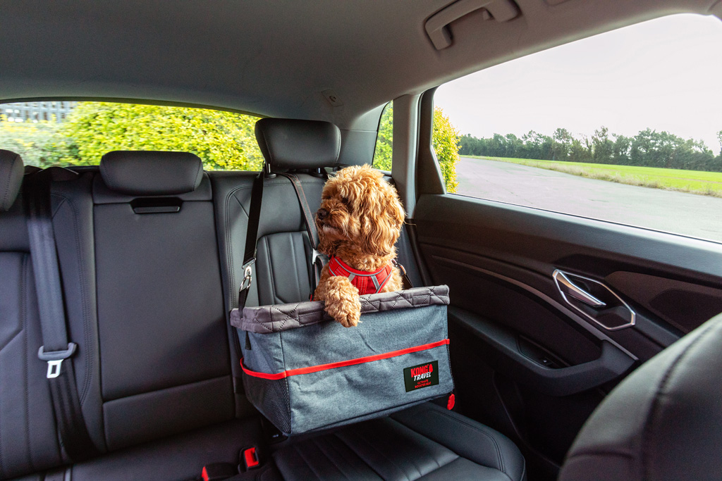 Alternative view of KONG Travel Ultimate Booster Seat & Tether