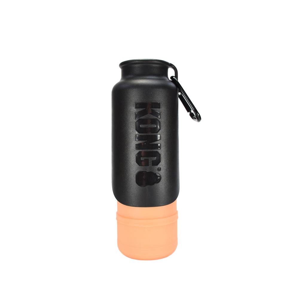 KONG H2O Geïsoleerde waterfles Oranje