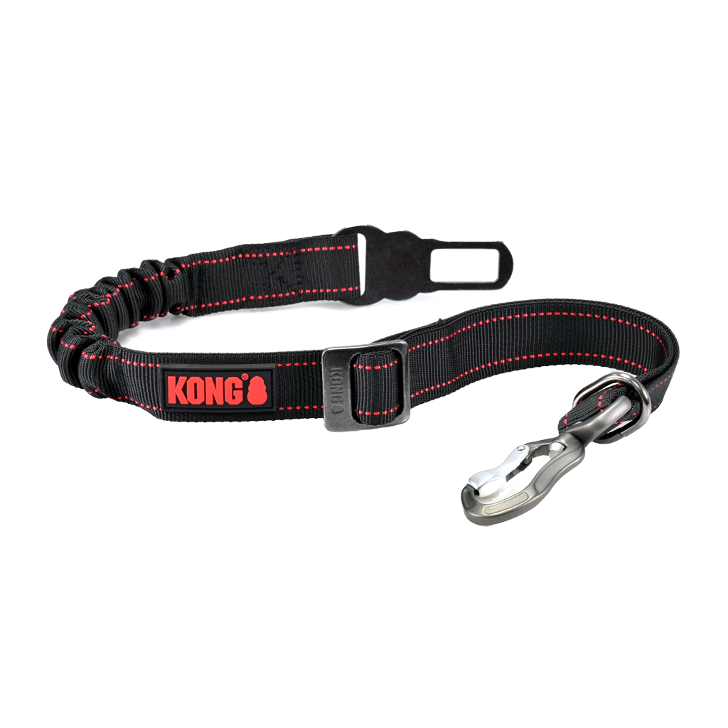 Alternative view of KONG Deluxe Swivel Tether