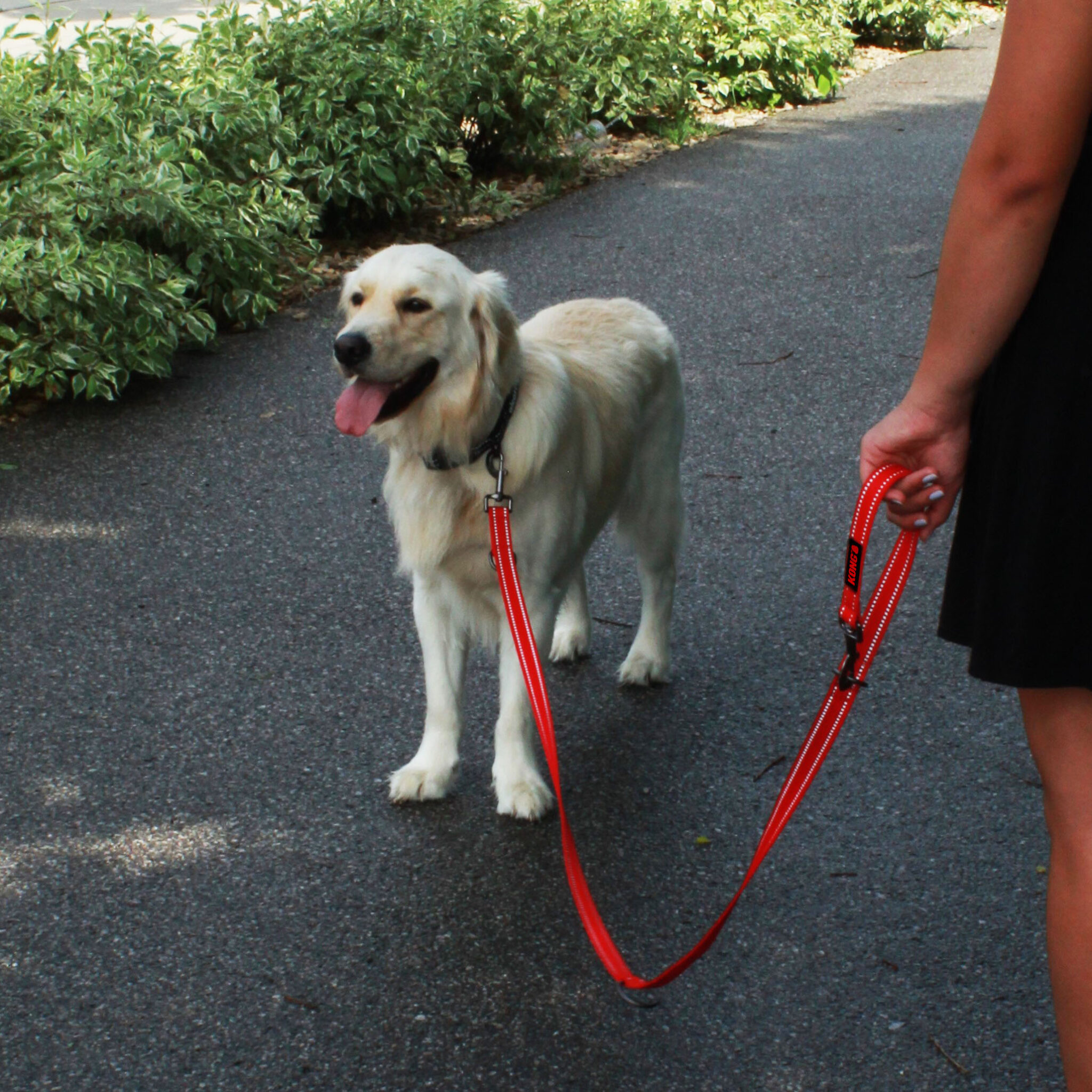 Alternative view of KONG Adjustable Leash Zwart M