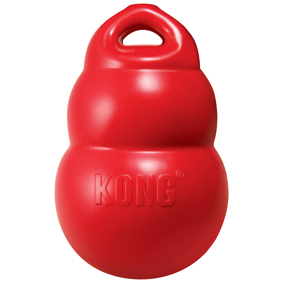 Alternative view of KONG Bounzer Large M
