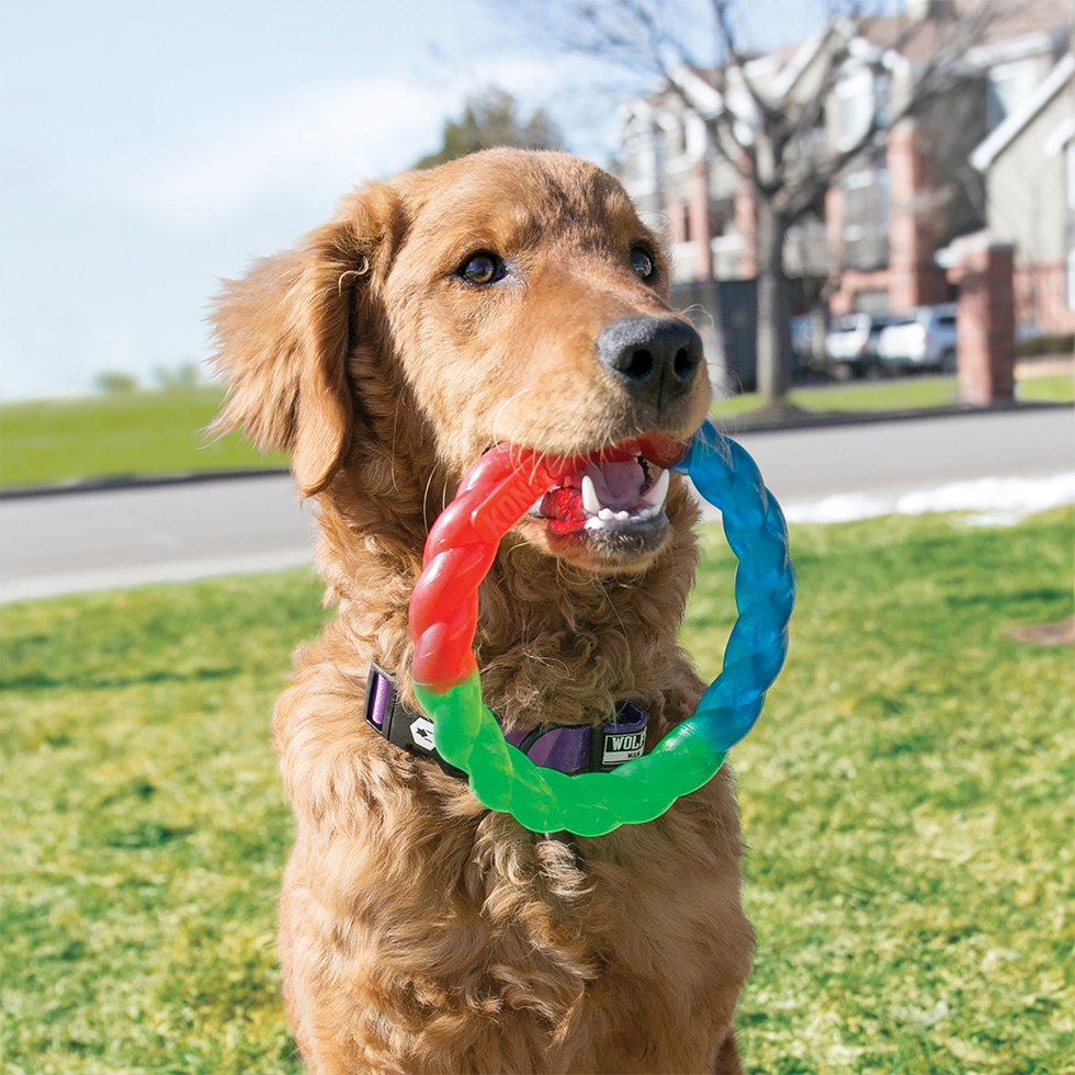 Alternative view of KONG Twistz Ring S