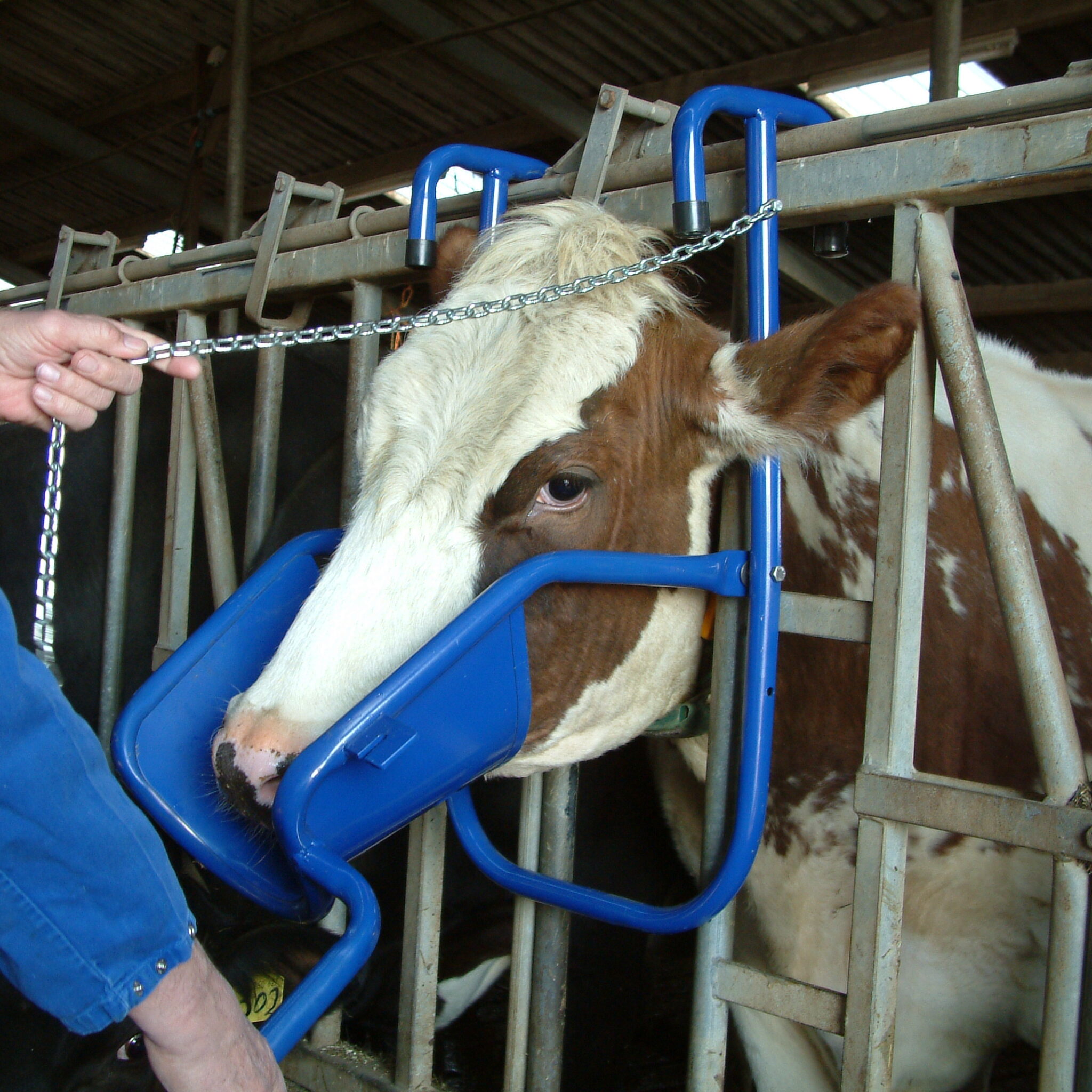 Alternative view of Vink Kopheffer