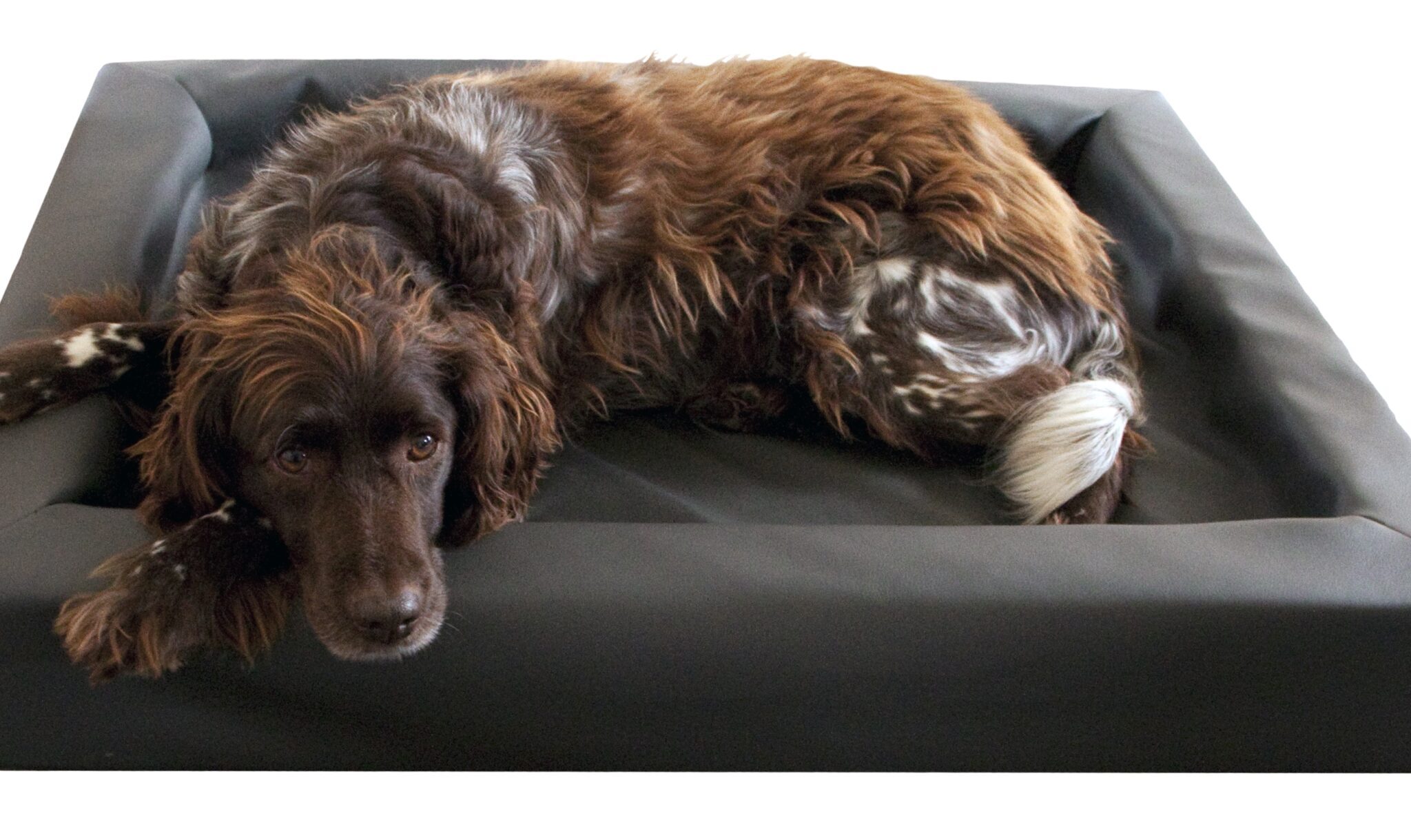 Alternative view of Lounge Hondenbed S - 50 x 60 cm