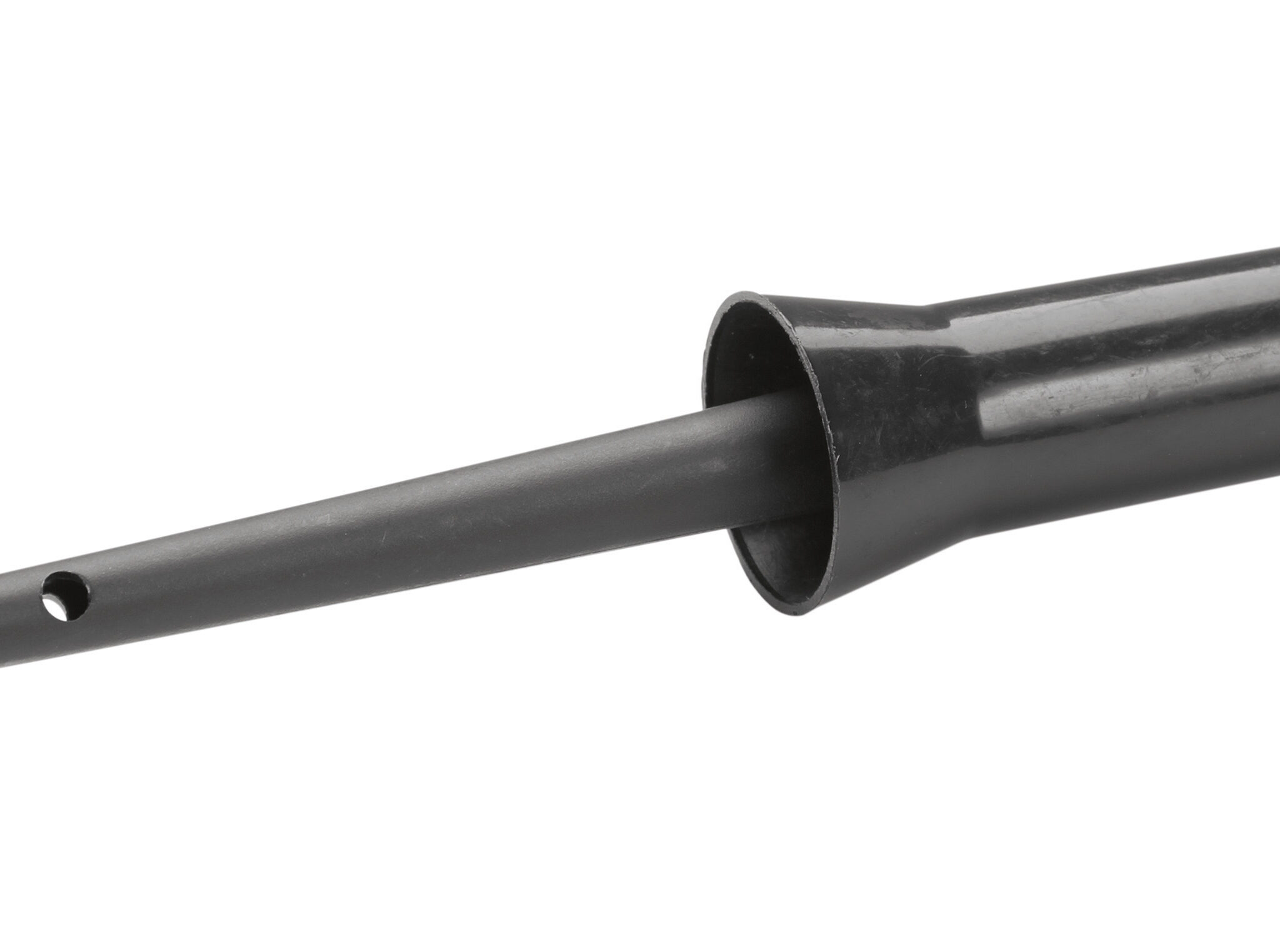 Alternative view of Kwast in pot