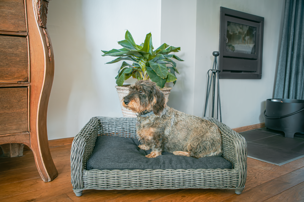 Alternative view of Let's Sleep Cozy Basket Rieten Hondenmand M Antraciet