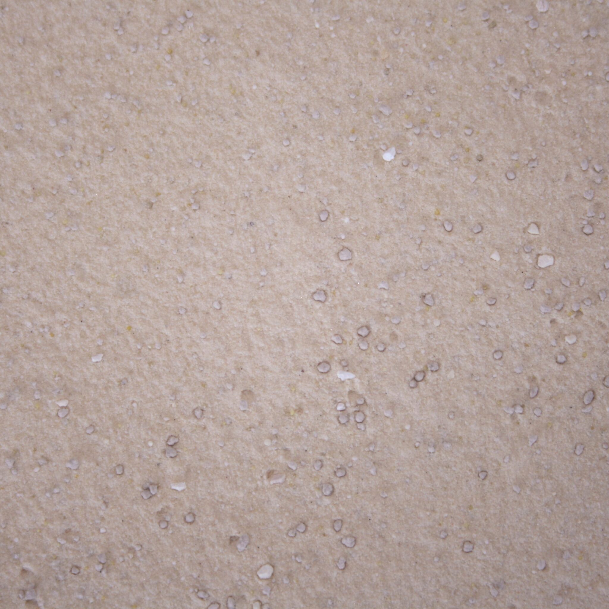 Alternative view of Excellent Licosan Forte (alle dieren) 1 kg