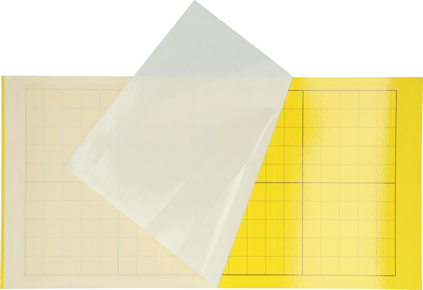 Insectron Lijmplaat 200/300 6 stuks