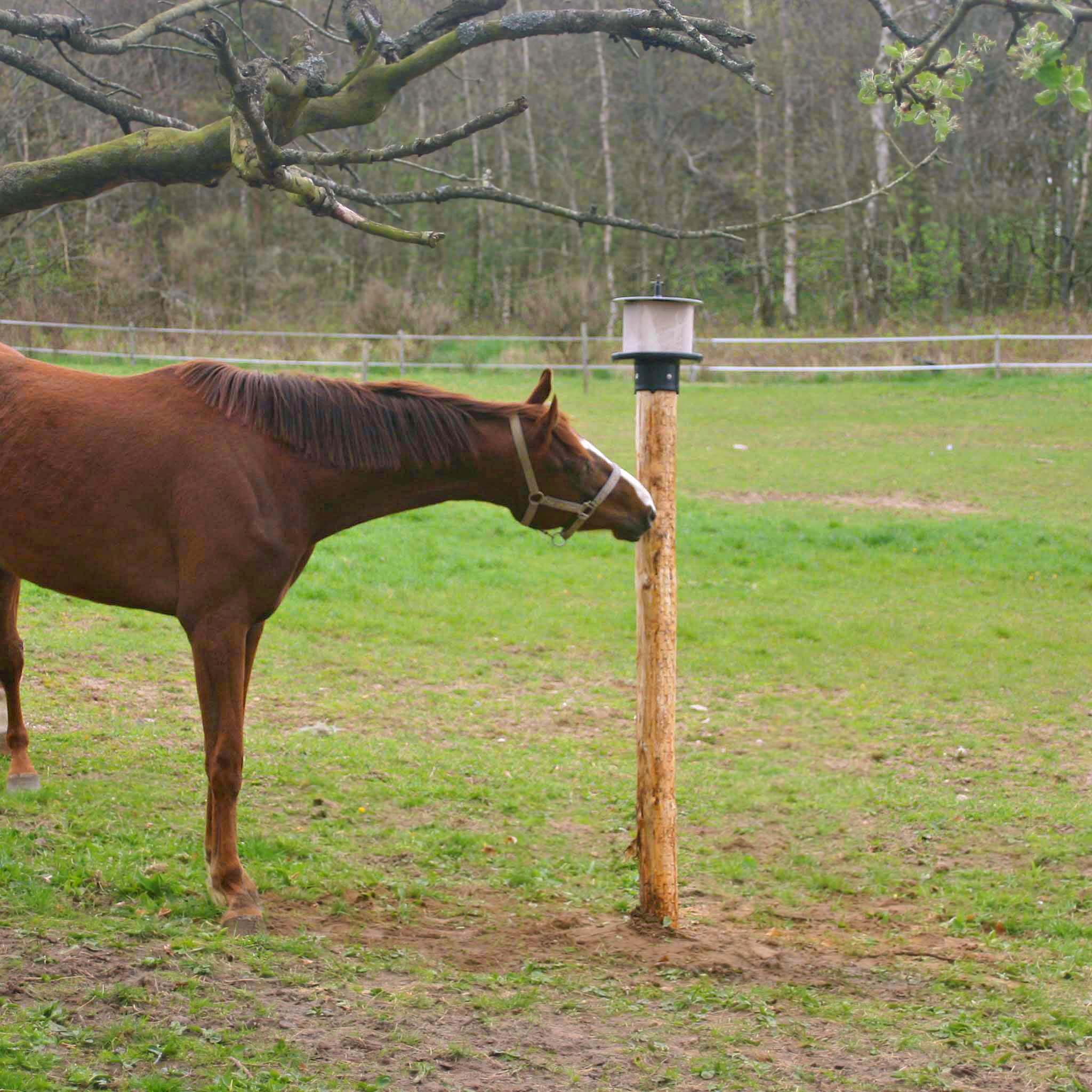 Alternative view of vPlast Liksteenhouder Paal
