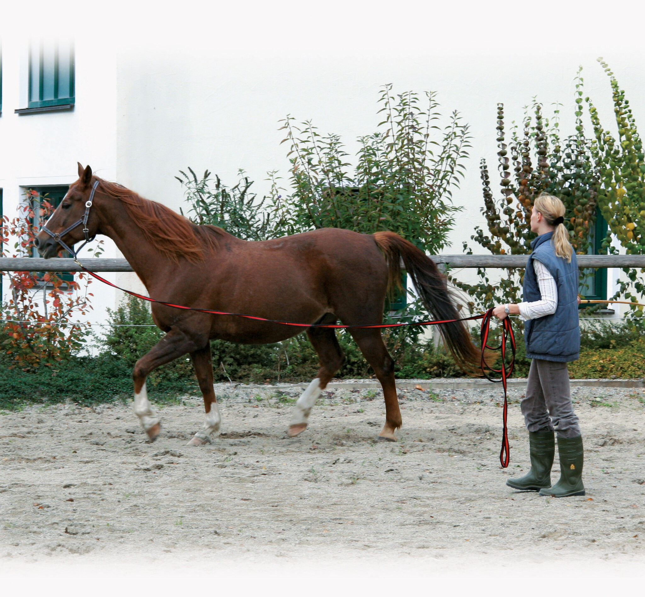 Alternative view of Longeerlijn zwart soft 8 meter Rood