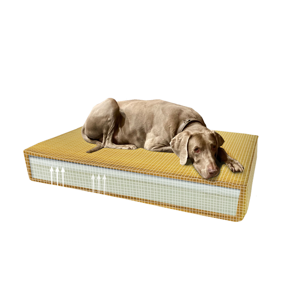 Alternative view of Madison Orthopedisch Kussen Velvet Geel S