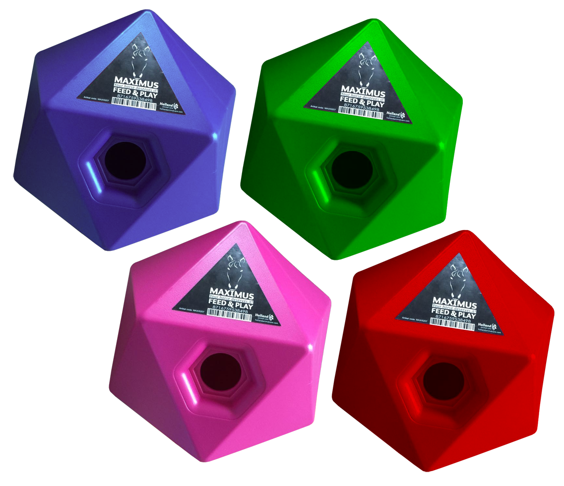 Alternative view of Maximus Feed & Play Blauw