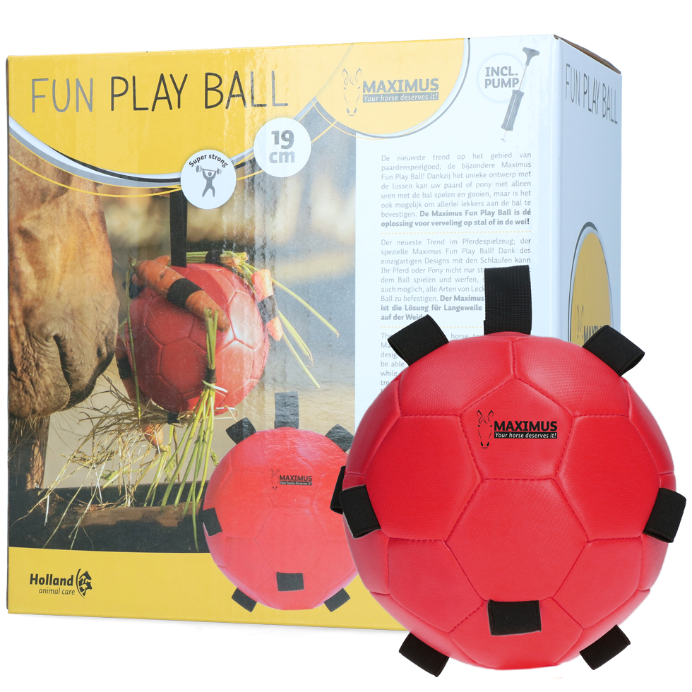 Excellent Horse Fun Play Ball Rood