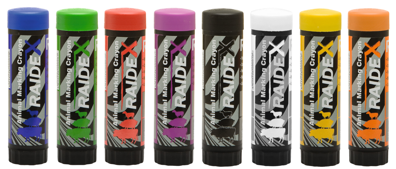 Alternative view of Raidex Merkstift Paars