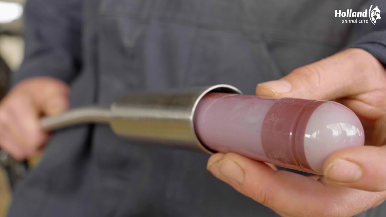 Alternative view of Direct Indigestion 4 x 76 g