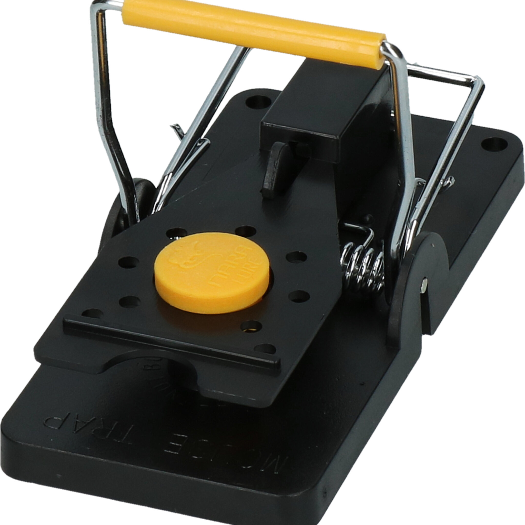 Alternative view of NARA Lure Mango