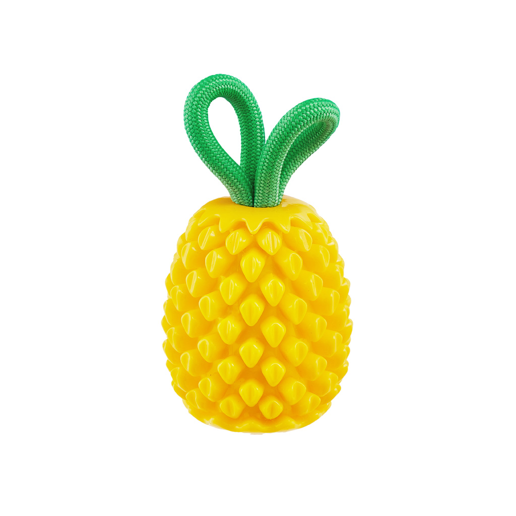 Alternative view of Outward Hound Dental Pineapple