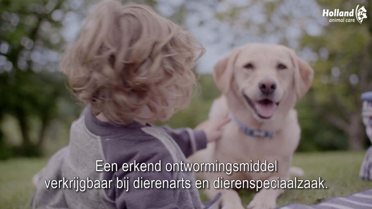 Alternative view of Milbemax Kauwtabletten Hond Klein Chewy <5kg 4 tabl.