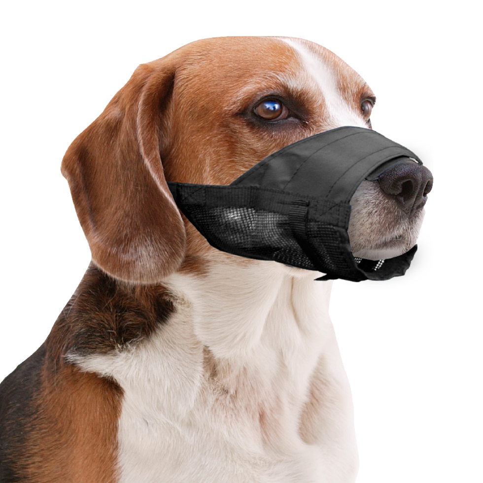 Alternative view of Pawise Adjustable Nylon Muzzle L