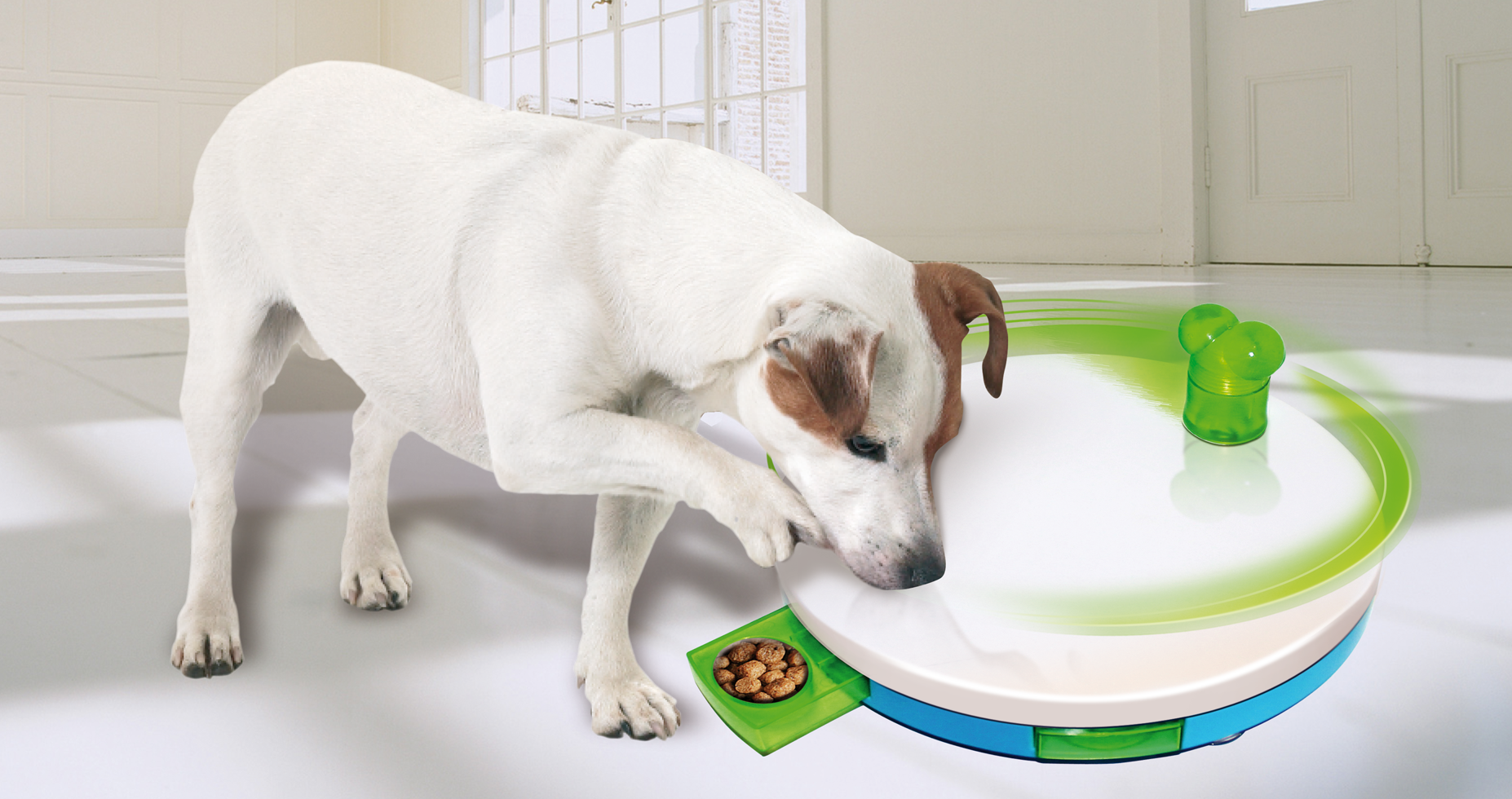 Alternative view of Pawise Dog training toy - Level 2 Spinning Feeder