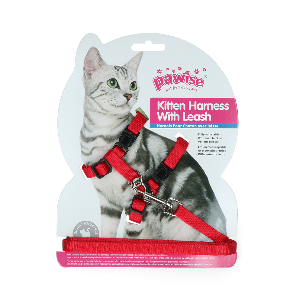 Alternative view of Pawise Kitten Harness With Leash Red/Blue S