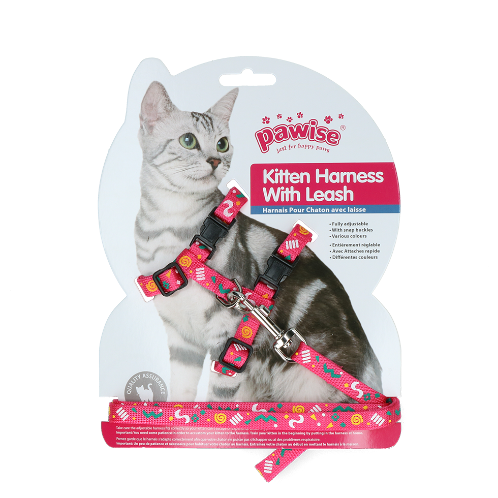 Alternative view of Pawise Kitten Harness With Leash Pink/Purple