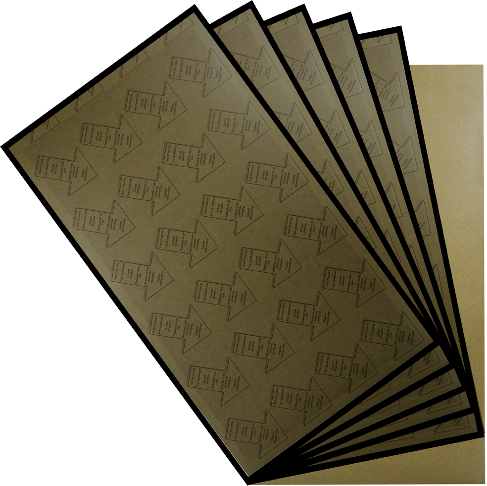 PestWest Chameleon Lijmplaat 6 stuks Karton