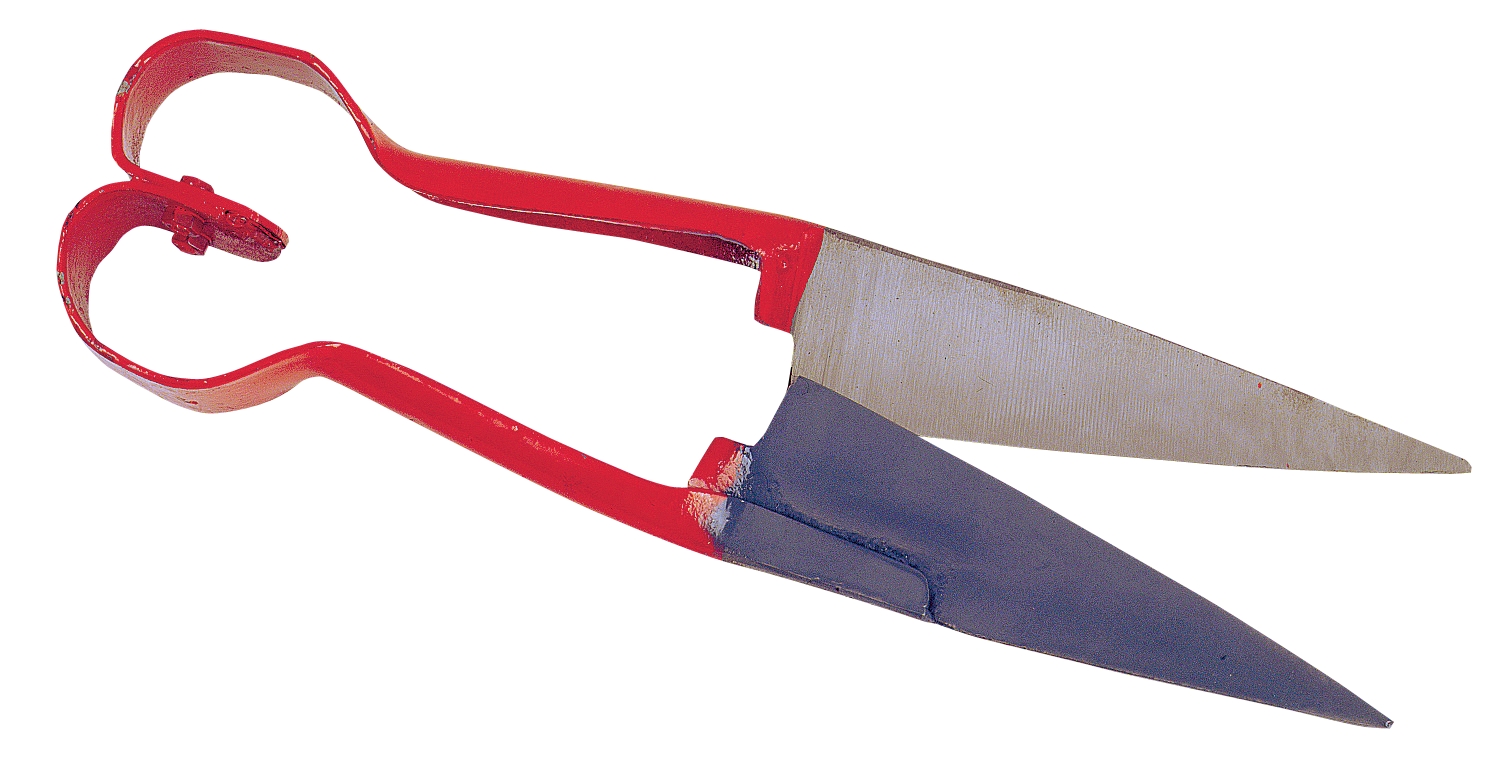 Alternative view of Klauwschaar schaap