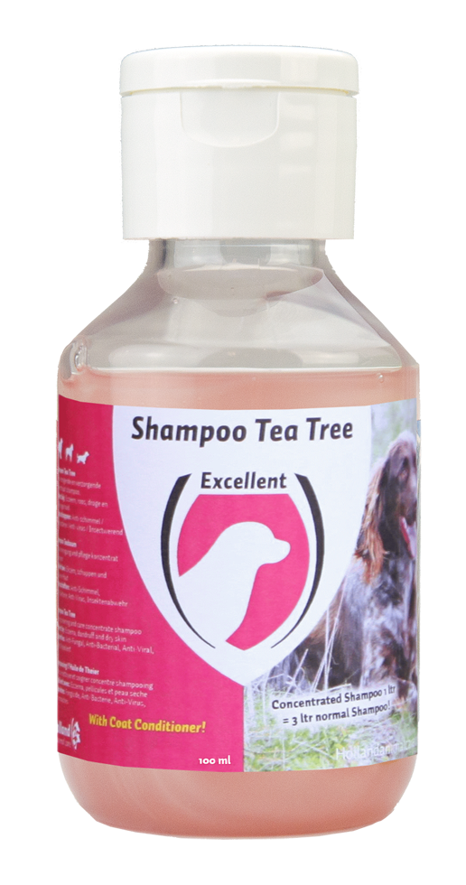 Excellent Shampoo Tea Tree