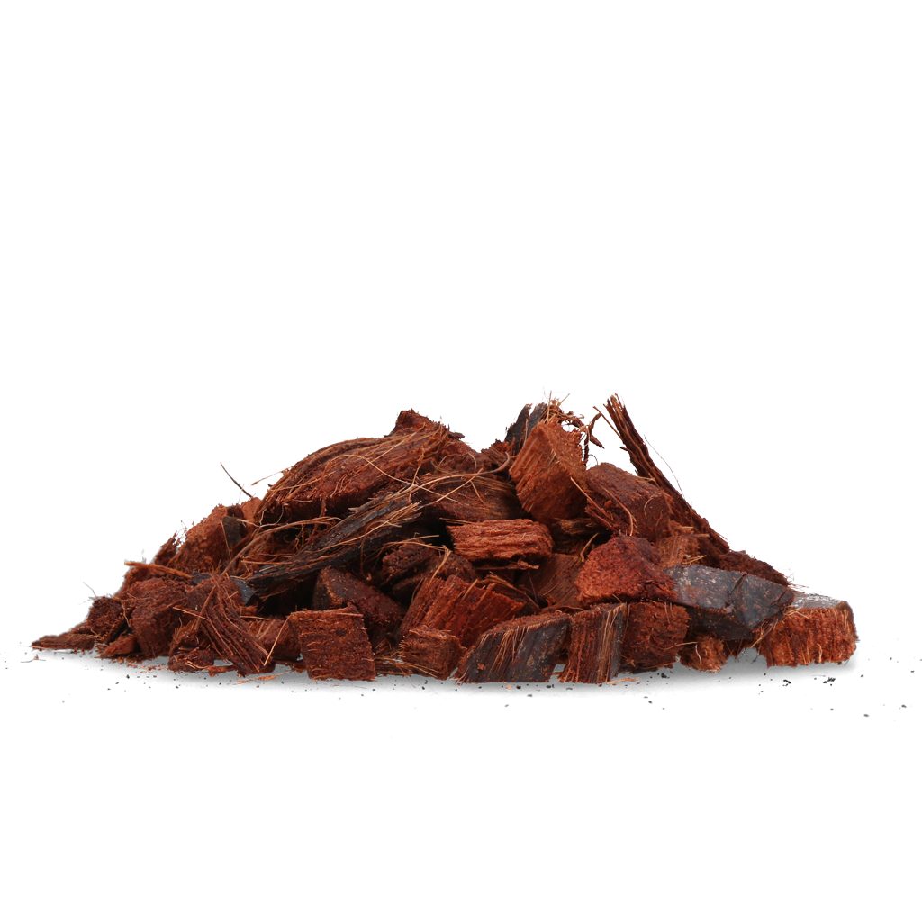 Alternative view of Shield Up Stay Away Kat/Woelrat/Mol